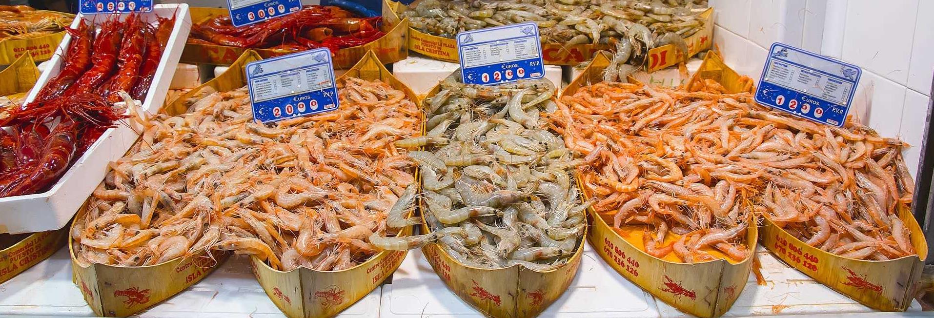 The white prawn from Huelva, the red garrucha prawn, the prawn from Sanlúcar and other seafood delicacies from Andalusia
