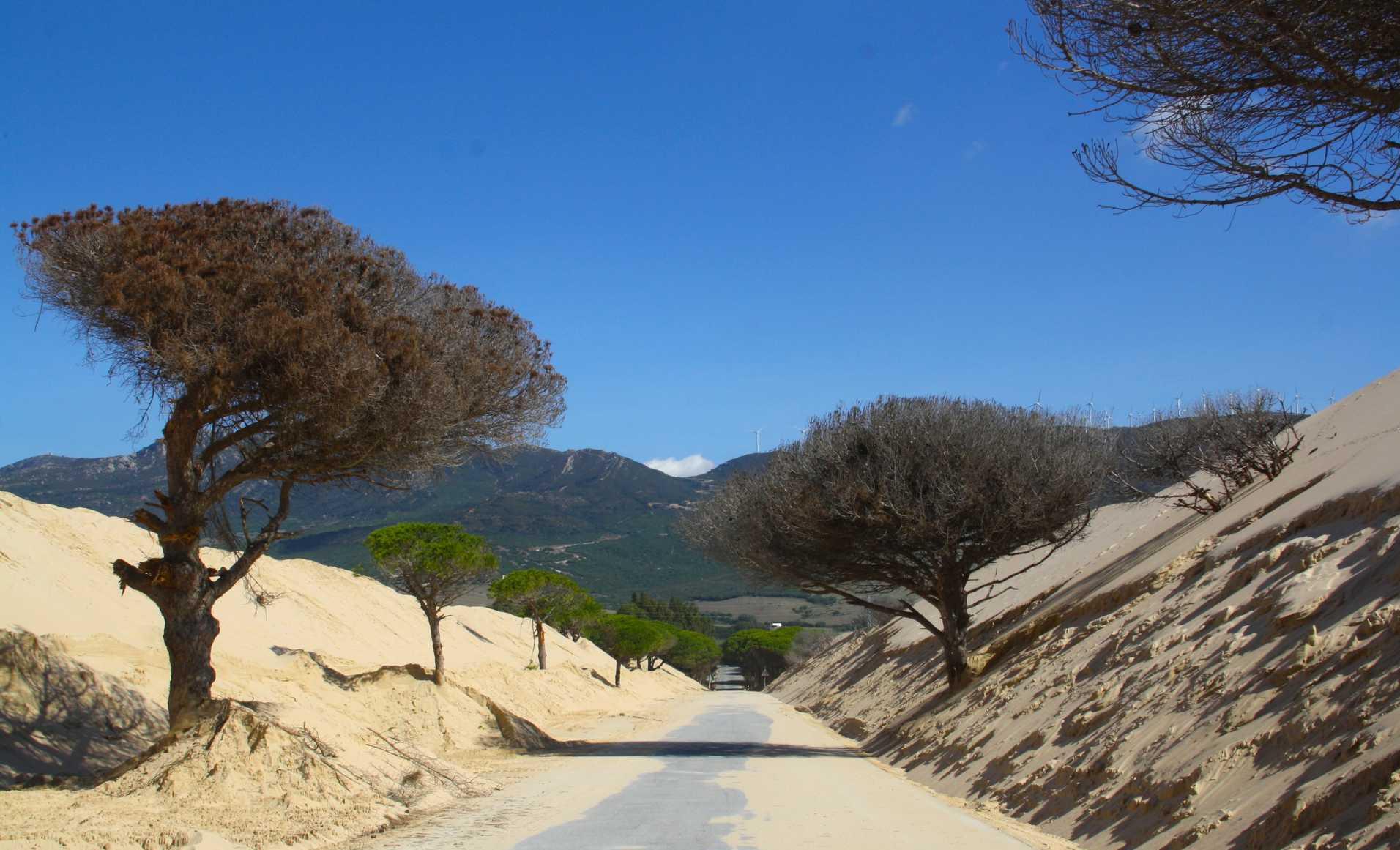 5 Andalusian destinations to get back to nature